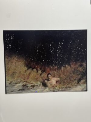 Денис Шулепов. Практика ностальгии X. 50x66,5